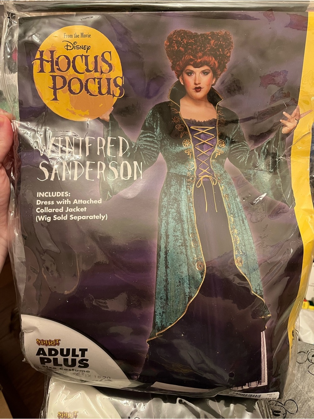 Disney Hocus Pocus Winifred Sanderson Adult Plus Size Costume